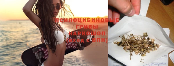 прущий лед Козловка