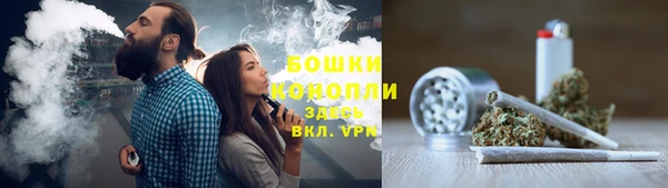 прущий лед Козловка