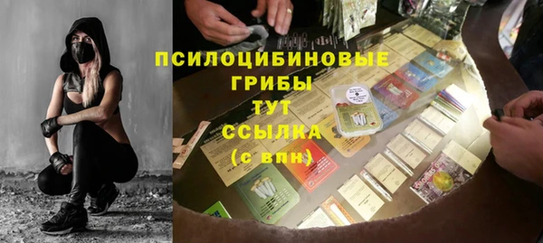 прущий лед Козловка