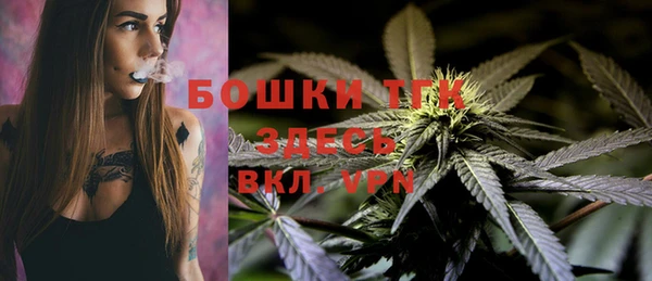 прущий лед Козловка